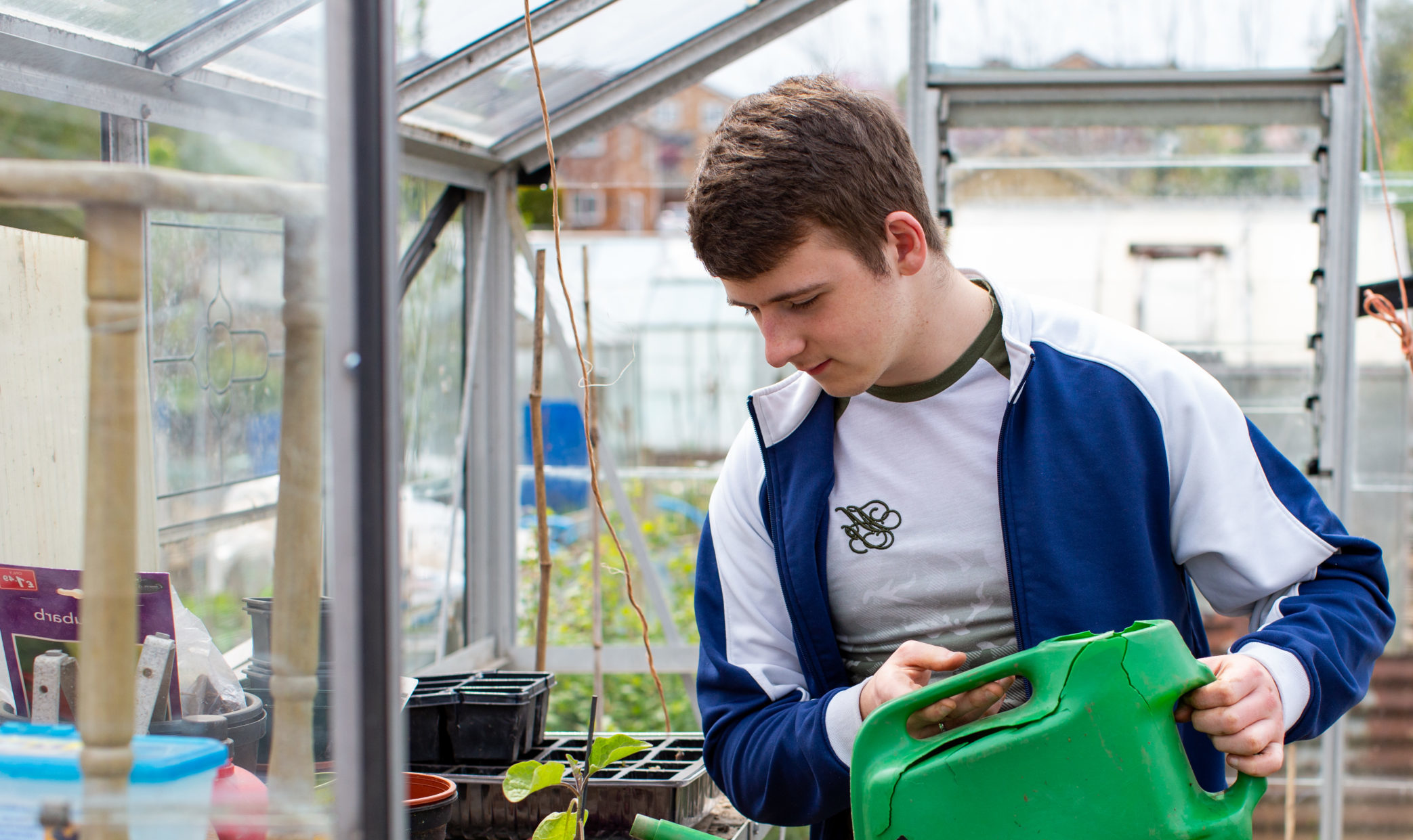 Young man watering the plant in greenhouse